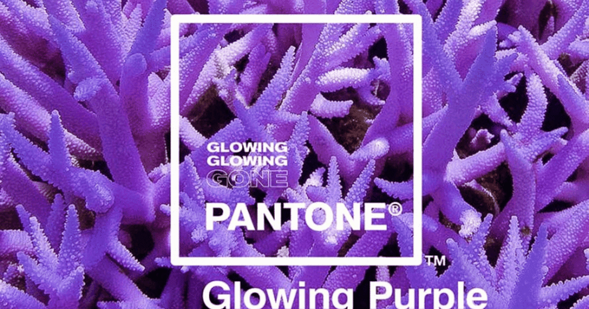 Glowing gone. Go clock. Glow gif. Салаззл шайни. Glow and go салон.