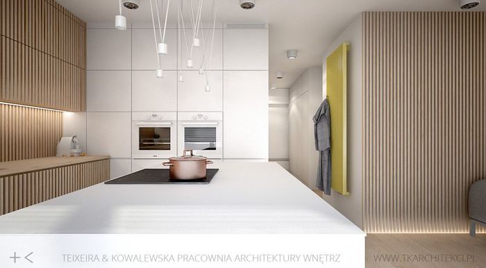 Кухня. Источник фото: TK Architekci