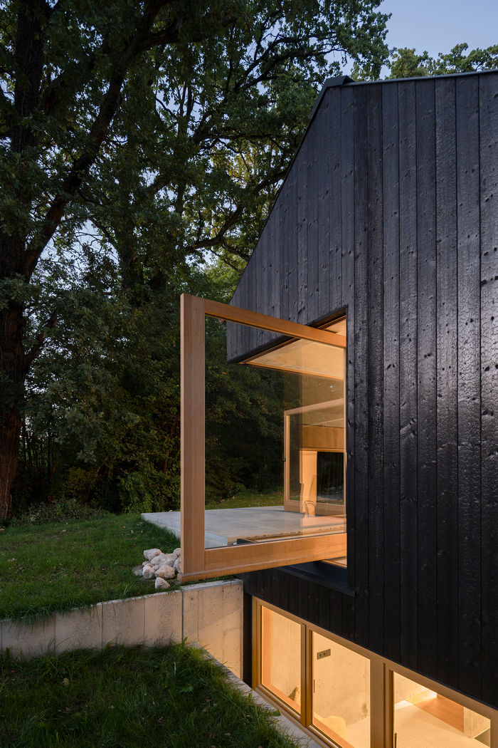 Черный дом от студии Buero Wagner.  Фото: Florian Holzherr
