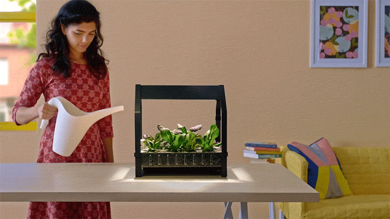 Серия KRYDDA / VÄXER, серия IKEA для внутреннего садоводства