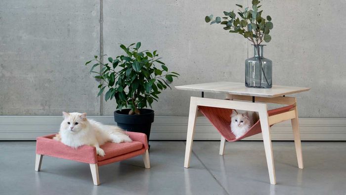 Источник: Design Milk 