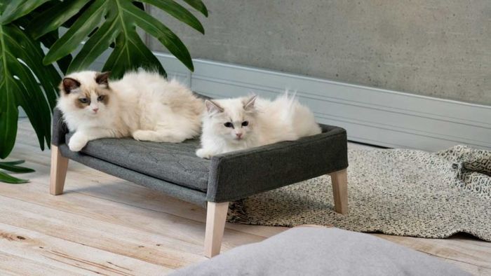 Источник: Design Milk 