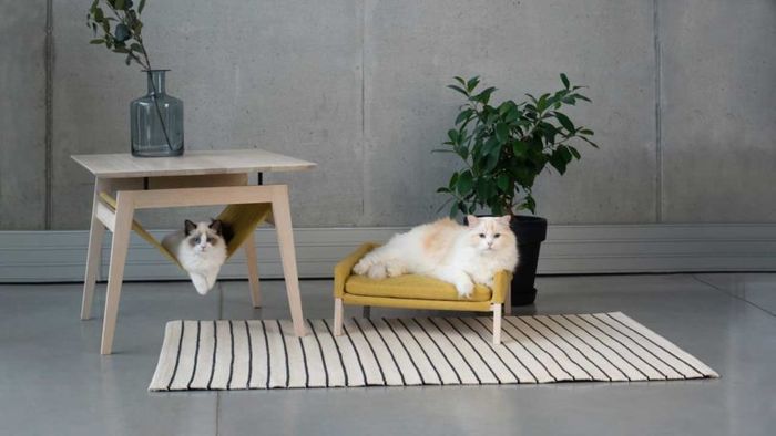 Источник: Design Milk 