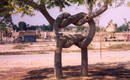 Алекс Эрландсон и его скульптуры из деревьев