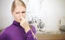 8 простых советов по устранению плохих запахов в ванной