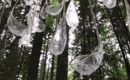Люстра-ловушка для дождя: уникальная инсталляция в лесу